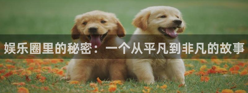新航娱乐