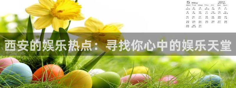新航娱乐官网登录入口